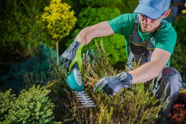 landscaping services Quitman